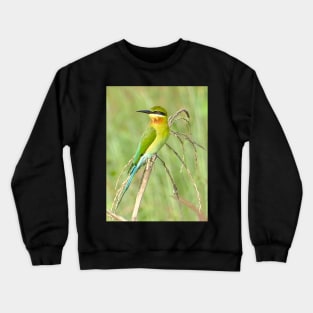 THE BEE HARVESTER Crewneck Sweatshirt